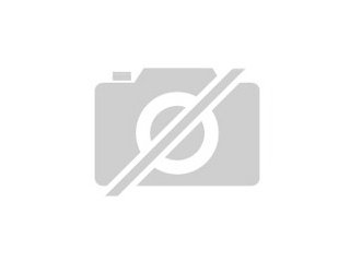 Berater und Vermittler gesucht